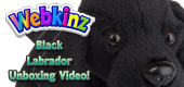 Black Labrador Unboxing Featured Image