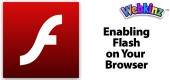 flashFeature flashFeature
