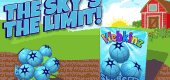 skyberry skyberry