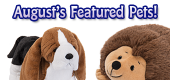 August Featured Pets Feature