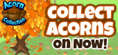 Acorn FEATURE 2 Acorn FEATURE 2