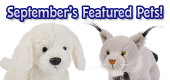 September Featured Pets Feature
