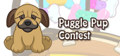 puggle pup contest