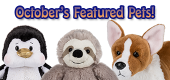 October Featured Pets Feature