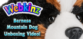 Bernese Mountain Dog Unboxing Featured Image