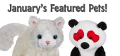 January Featured Pets Feature