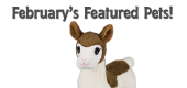 February Featured Pets Feature