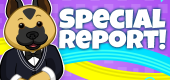 Report FEATURE