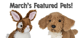 March Featured Pets Feature