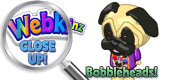 WEBKINZ CLOSE UP - Bobbleheads - Featured