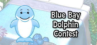 bluebaydolphincontest