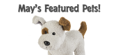 May Featured Pets Feature