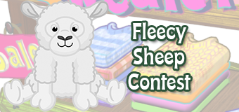 fleecy sheep contest