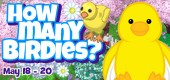 how_many_birdies_feature