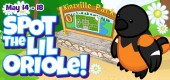 lil_bird_oriole_feature lil_bird_oriole_feature