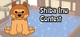 shiba inu contest