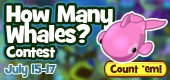 HowManyWhales_Feature HowManyWhales_Feature