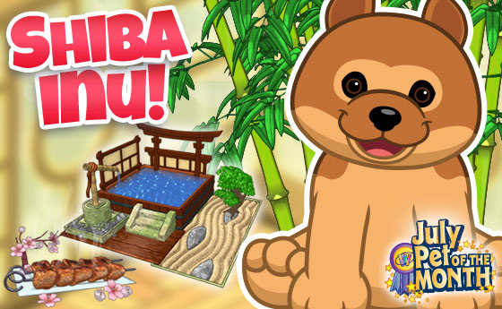 Webkinz shiba inu new arrivals