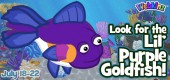 Lil_purple_gold_fish_feature Lil_purple_gold_fish_feature
