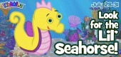 Lil_seahorse_feature