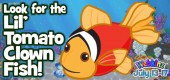 Lil_tomatoclown_fish_feature