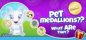 PetMedallions_feature