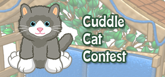 cuddle cat contest