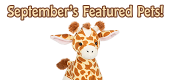 September's Featured Pets Feature