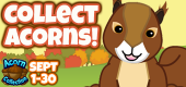 Acorn FEATURE ON NOW