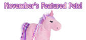 November's Featured Pets Feature