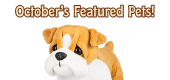 October's Featured Pets Feature