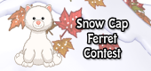 snow cap ferret contest