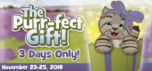 Holiday_Kitten_Feature Holiday_Kitten_Feature
