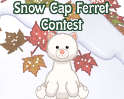 webkinz snow cap ferret