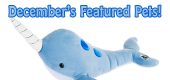 December's Featured Pets Feature
