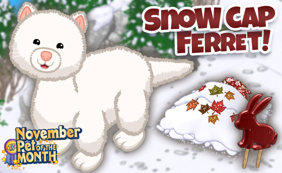 webkinz signature ferret