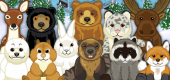Signature_pets_Northern Signature_pets_Northern