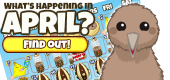 Events FEATURE