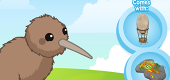 kiwibird-feature