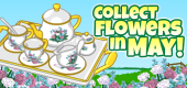 Flower Collection FEATURE 1