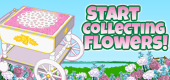 Flower Collection FEATURE 2