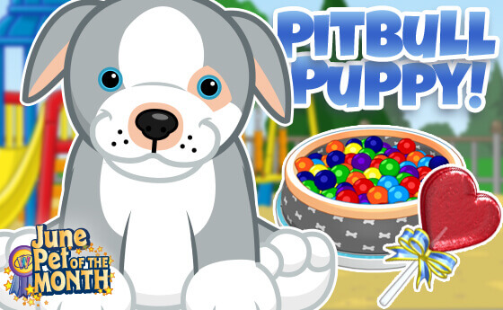 Adopt a Pitbull Puppy in June WKN Webkinz Newz