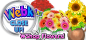 WEBKINZ CLOSE UP - WShop Flowers - Featured
