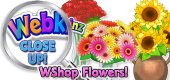 WEBKINZ CLOSE UP - WShop Flowers - Featured WEBKINZ CLOSE UP - WShop Flowers - Featured