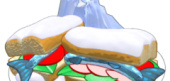 Frosty Sardine Sandwich