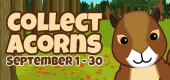 Acorns FEATURE