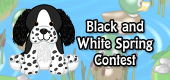 black and white springer contest
