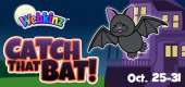 Bat_FC_feature