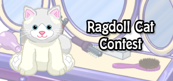 ragdoll cat contest