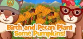 squirrel_sapling_feature12